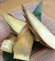 松茸・竹の子（シーズン料理）